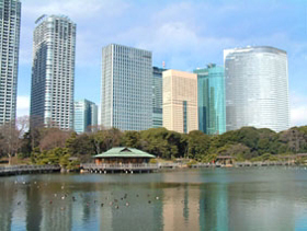 hamari-kyu